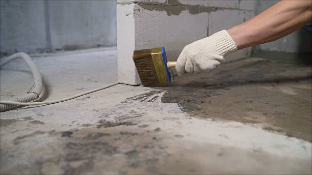 24/7 Emergency Wet Basement Repair experts in Oakman, AL